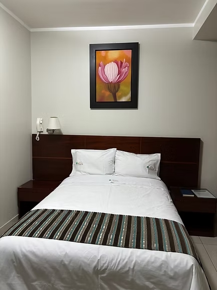 Habitación Individual Ejecutiva